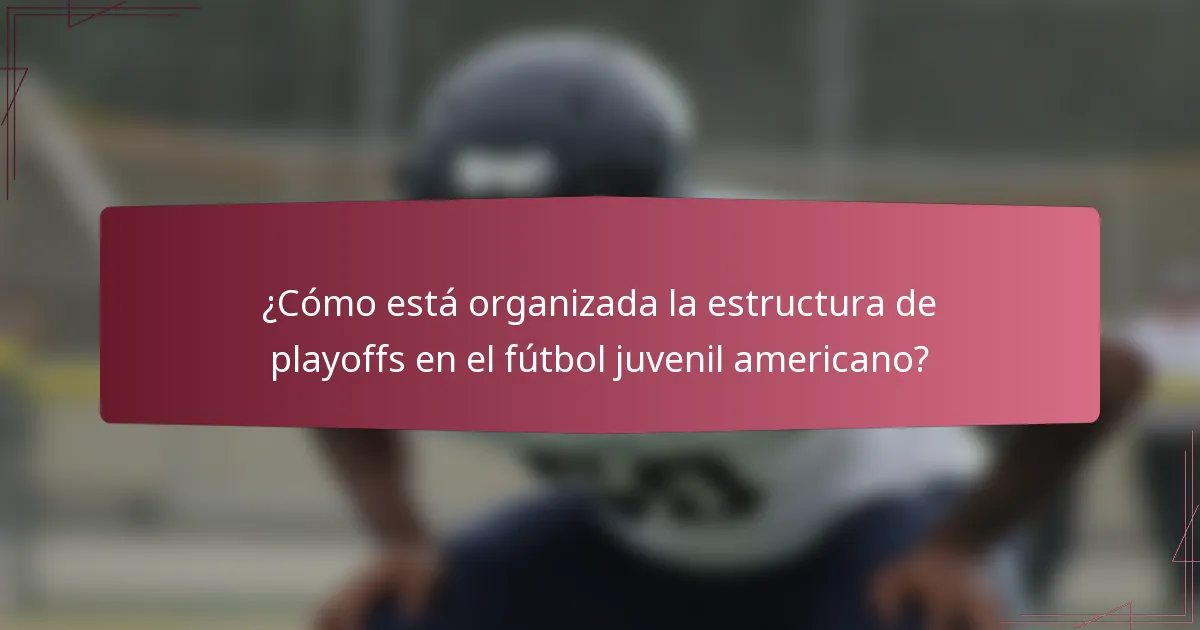 ¿Cómo está organizada la estructura de playoffs en el fútbol juvenil americano?