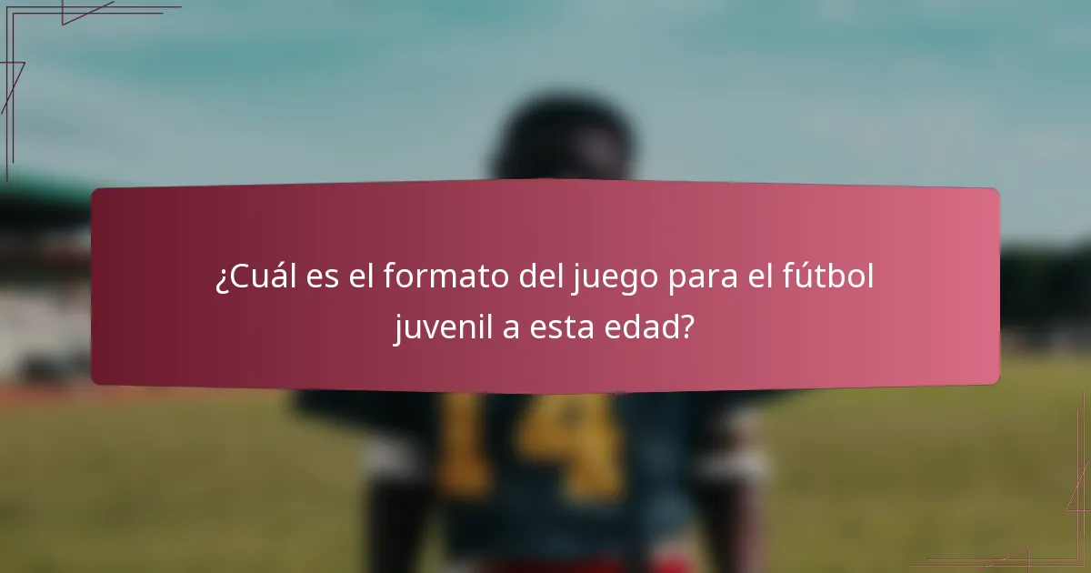 ¿Cuál es el formato del juego para el fútbol juvenil a esta edad?