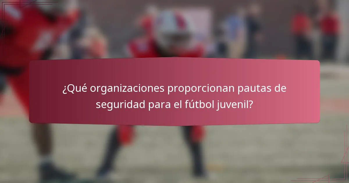 ¿Qué organizaciones proporcionan pautas de seguridad para el fútbol juvenil?